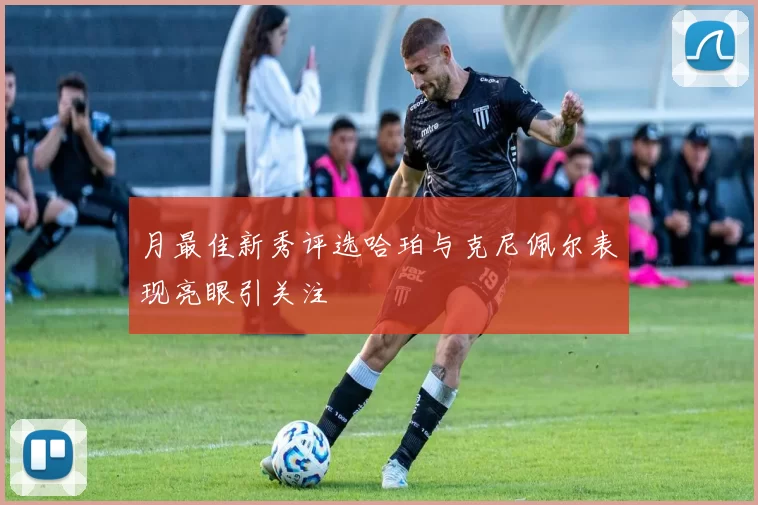 月最佳新秀评选哈珀与克尼佩尔表现亮眼引关注