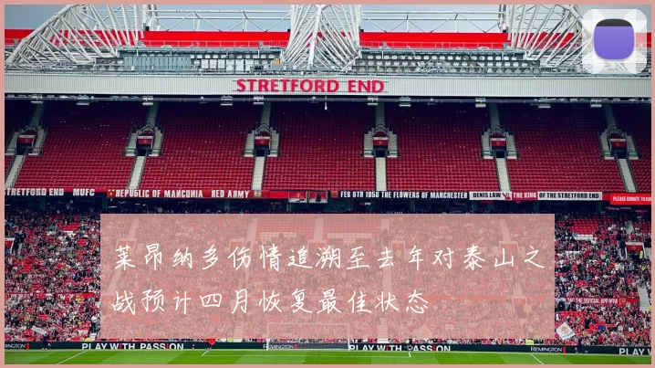 莱昂纳多伤情追溯至去年对泰山之战预计四月恢复最佳状态